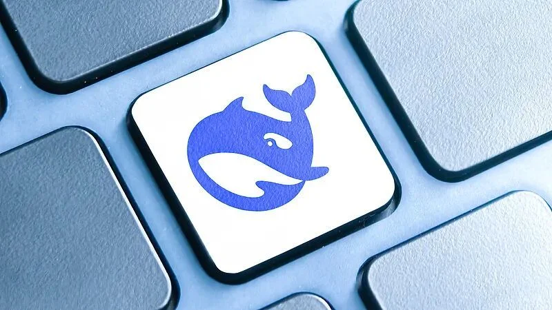 DeepSeek api开放平台厚黑楔面